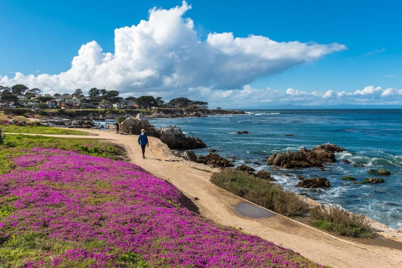 3707 Pacific'S Edge Sanctuary Home Carmel-by-the-Sea Exterior foto